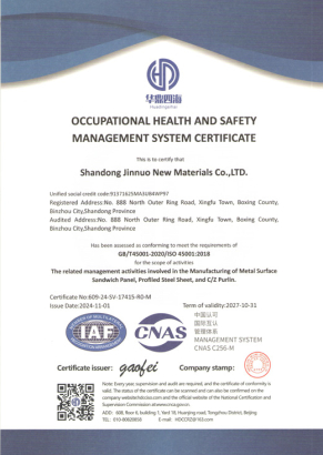 نظام إدارة الصحة والسلامة المهنية